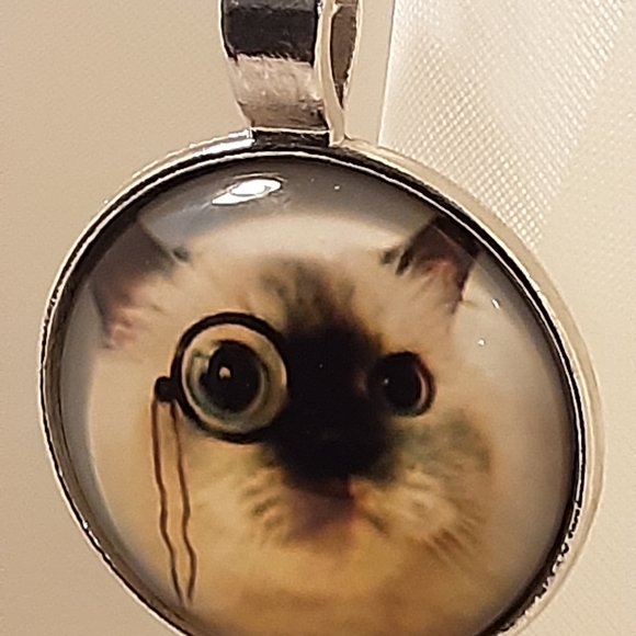 (G25) Cat with Specs Necklace 1" Silver Cabochon glass dome 16" chain - Picture 2 of 4